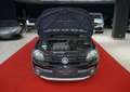 Volkswagen Golf Plus CrossGolf PDC AHK SitzheizungKlimaauto Negru - thumbnail 30