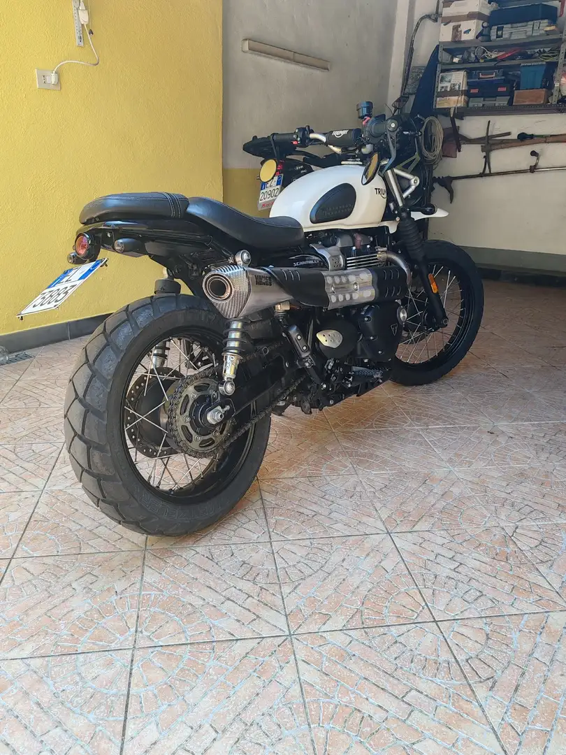 Triumph Street Scrambler Bílá - 1