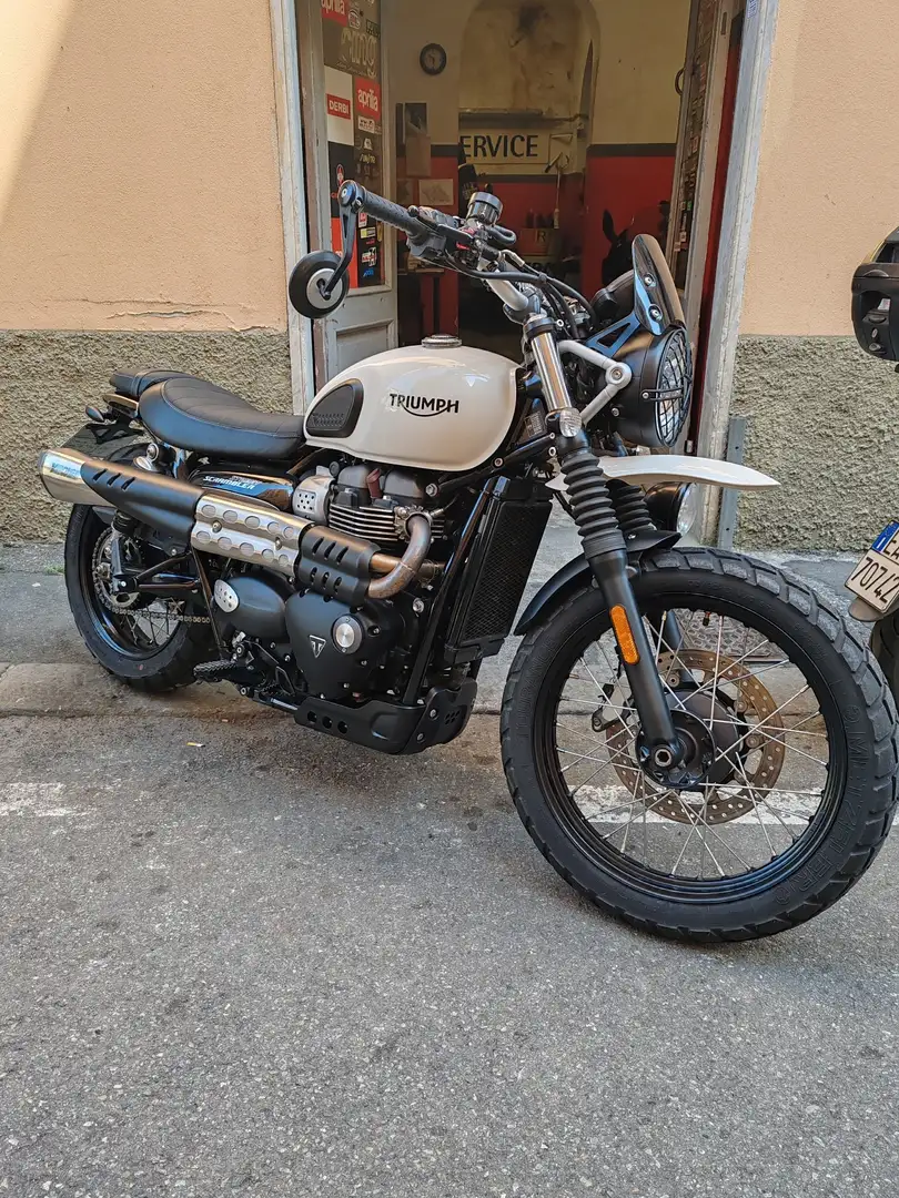 Triumph Street Scrambler Bianco - 1