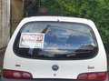Fiat 600 600 III 20051.1 Active (class) Blanco - thumbnail 9