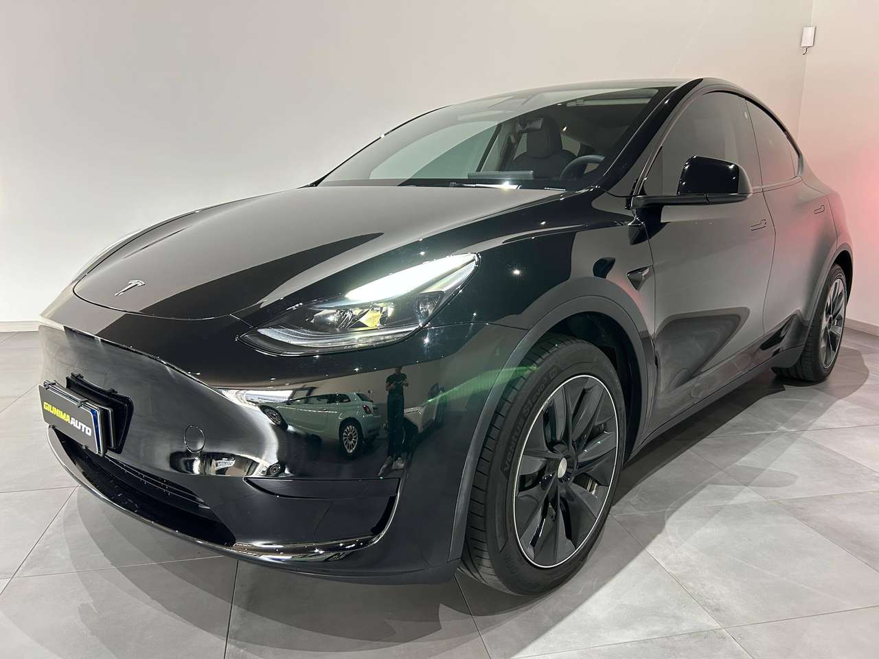 Tesla Model Y Single Motor rwd