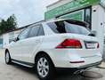 Mercedes-Benz GLE 250 d Aut. Weiß - thumbnail 9