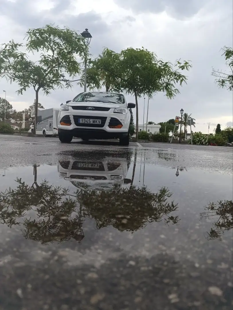Ford Escape Blanc - 1