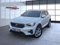 Volvo XC40 B3 (Benzin) Core 2WD Automatik Bluetooth Navi Weiß - thumbnail 2