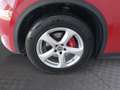 Alfa Romeo Stelvio ALFA ROMEO STELVIO Super 2,2 ATX AWD Rot - thumbnail 13