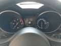 Alfa Romeo Stelvio ALFA ROMEO STELVIO Super 2,2 ATX AWD Rot - thumbnail 14