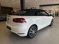 Volkswagen Golf VI Cabriolet Lounge|DSG|Kamera|Leder|Euro6 Weiß - thumbnail 34