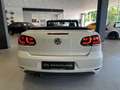 Volkswagen Golf VI Cabriolet Lounge|DSG|Kamera|Leder|Euro6 Weiß - thumbnail 10