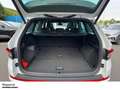Skoda Kodiaq 2.0 TSI RS 4M DSG NAVI PANO KAM ACC LED SHZ PDC LM Weiß - thumbnail 8
