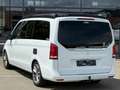 Mercedes-Benz V 250 d MARCO POLO PACK AMG GPS360 CAMERA LED FULL OPT White - thumbnail 8