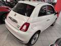 Fiat 500 1.0 70cv Hybrid + Car Play "SUPER PROMO" Bianco - thumbnail 4