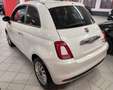 Fiat 500 1.0 70cv Hybrid + Car Play "SUPER PROMO" Bianco - thumbnail 6