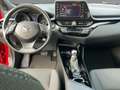 Toyota C-HR 2.0 Team D ACC+LED+Navi+SHZ+2xKlima+Kam.+LM Rouge - thumbnail 10