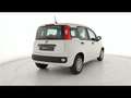 Fiat Panda 1.0 FireFly Hybrid 70cv S&S 5pti Bianco - thumbnail 5
