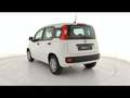 Fiat Panda 1.0 FireFly Hybrid 70cv S&S 5pti Bianco - thumbnail 6
