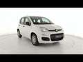 Fiat Panda 1.0 FireFly Hybrid 70cv S&S 5pti Bianco - thumbnail 3
