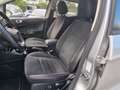 Ford EcoSport 1.5 Ecoblue 125 CV Start&Stop AWD ST-Line (4x4) Gris - thumbnail 12