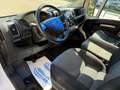 Fiat Ducato maxi 35 XLH3 3.0 CNG 136cv 5.624km!#1PROPRIETARIO Blanc - thumbnail 12