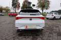 SEAT Leon Sportstourer FR Blanco - thumbnail 7