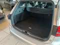Ford Focus 1.0 EcoBoost Hybrid 125CV Powershift SW ST-Line De Argento - thumbnail 5
