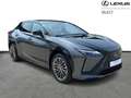 Lexus RZ Privilege Line AWD Gris - thumbnail 18