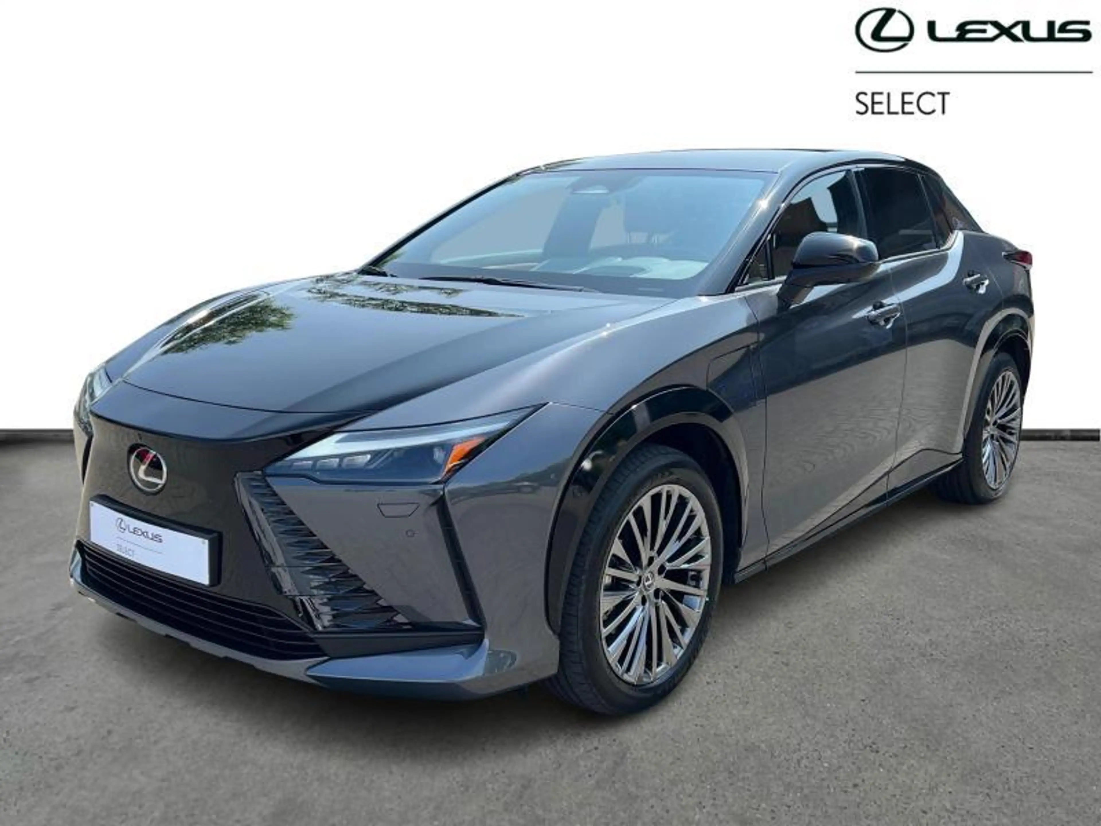 Lexus RZ Privilege Line AWD