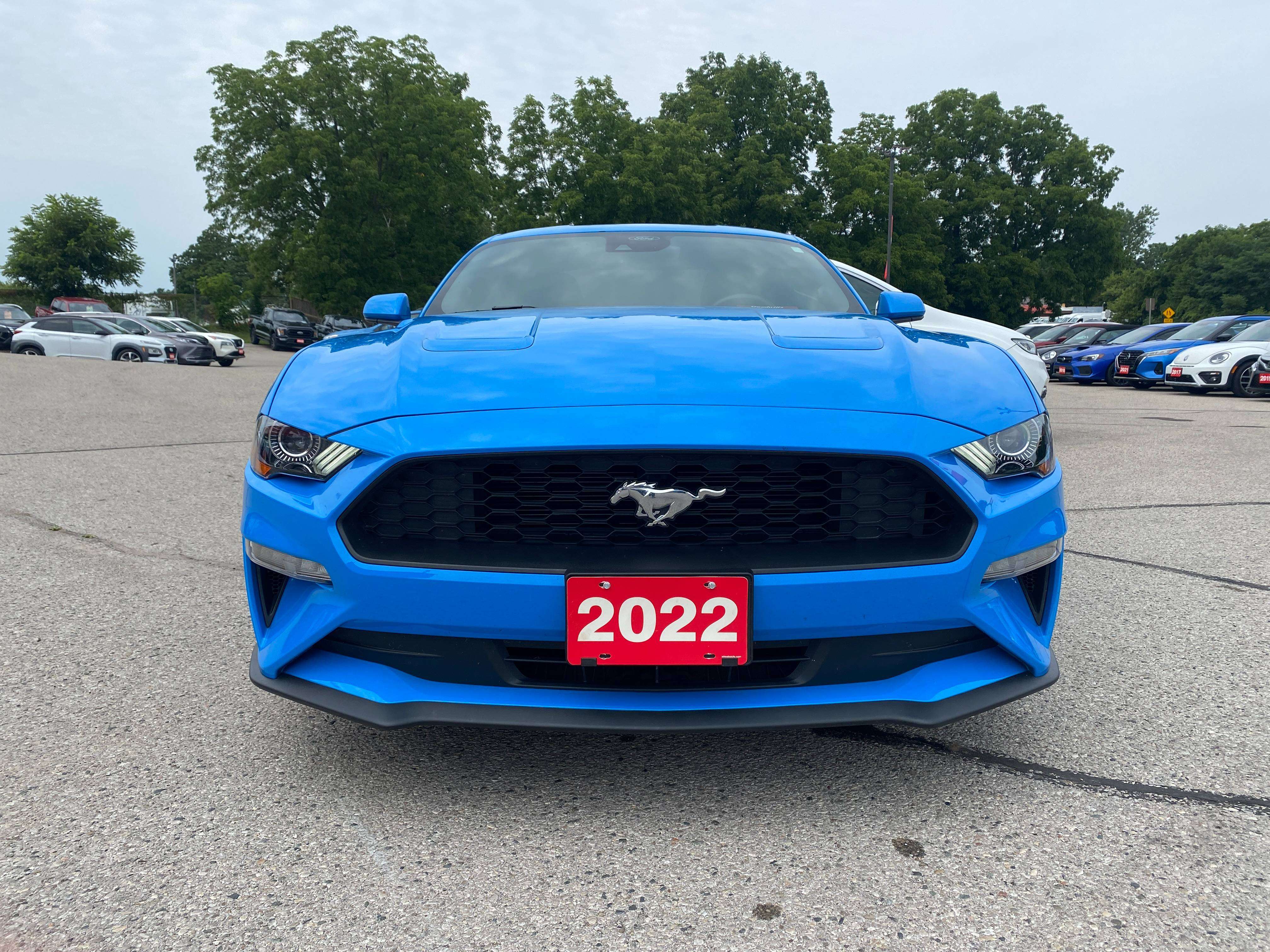 2022 Ford Mustang