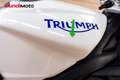 Triumph Street Triple 675 - thumbnail 14
