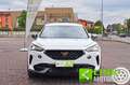 CUPRA Formentor 2.0 TDI EVO 150CV Blanco - thumbnail 2