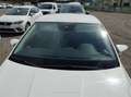 SEAT Ibiza 1.0 TSI 81kW (110CV) Style Go2 - thumbnail 24
