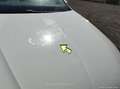 SEAT Ibiza 1.0 TSI 81kW (110CV) Style Go2 - thumbnail 50