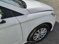 SEAT Ibiza 1.0 TSI 81kW (110CV) Style Go2 - thumbnail 18