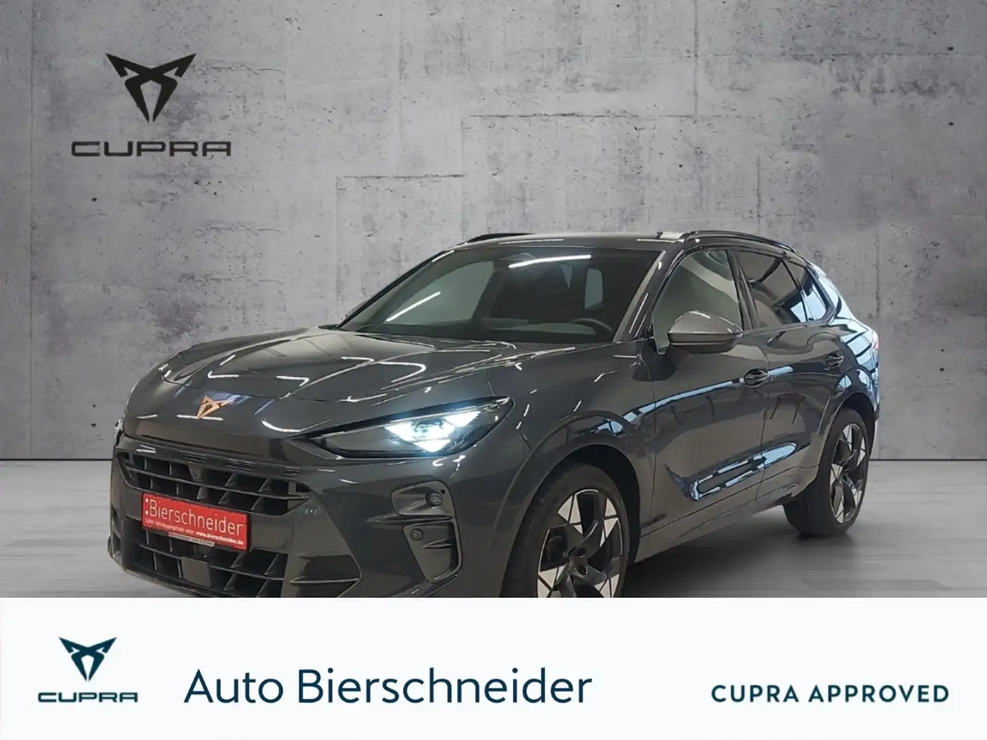 CUPRA Terramar VZ 2.0 TSI 4Drive DSG ab 379,-EUR 20 | AHK | HD-MA Grau - 1