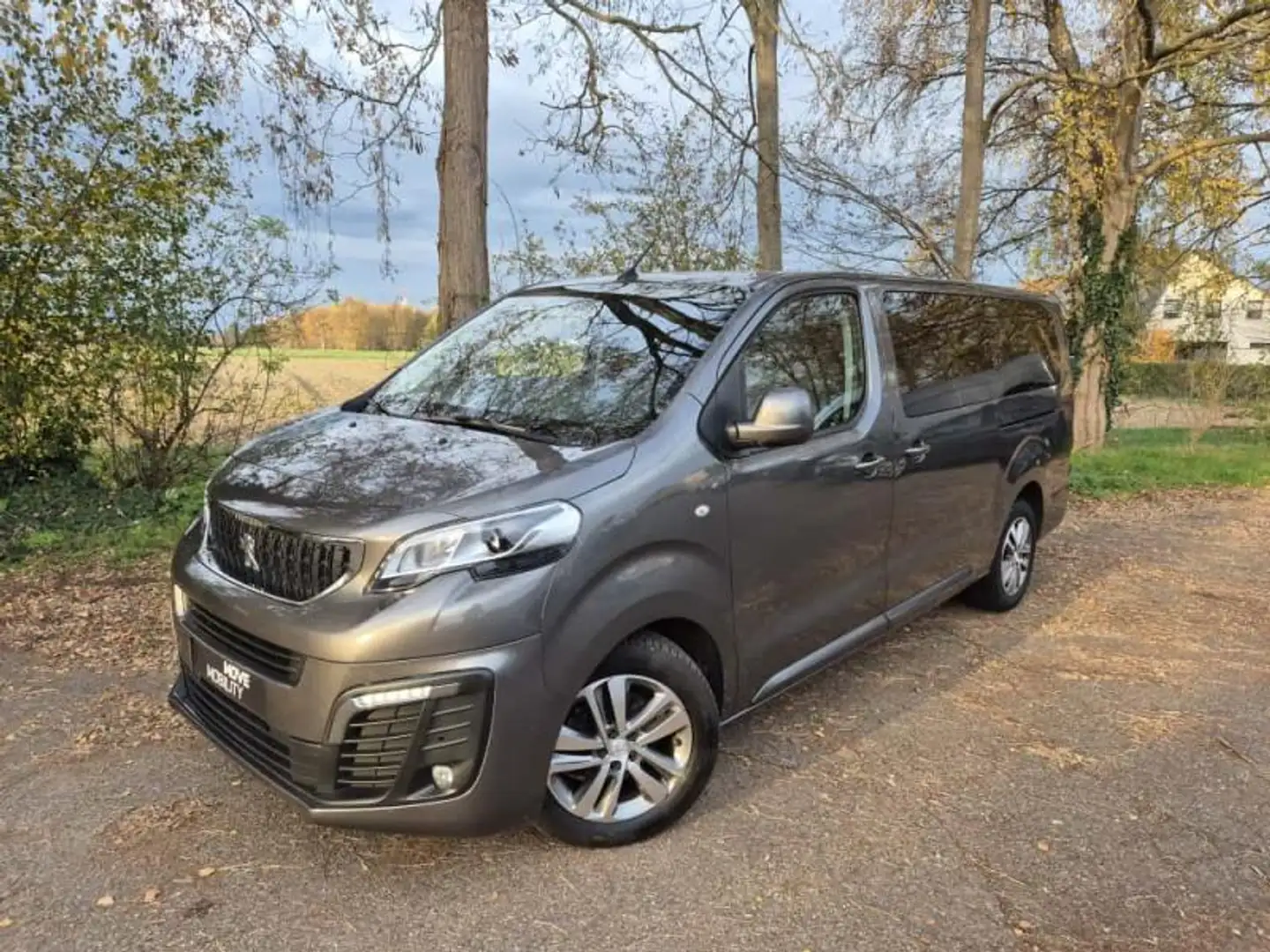 Peugeot Expert IV Gris - 1