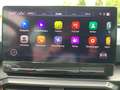 CUPRA Formentor 2.0 TSI DSG 4DRIVE VZ +AHK+LED+NAVI+ Blau - thumbnail 17