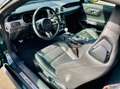 Ford Mustang Fastback V8 5.0 Bullitt zelena - thumbnail 18