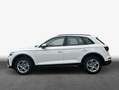 Audi Q5 40 TDI quattro S tronic advanced AHK Matrix Weiß - thumbnail 4