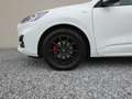 Ford Kuga 1.5 EcoBlue ST-Line LED+AUT+HUD+RFK+Keyless Weiß - thumbnail 23