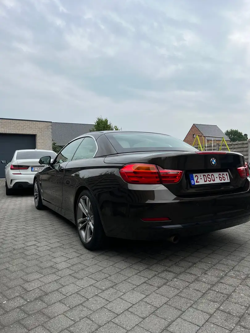 BMW 420 420d Cabrio Aut. Sport Line Brązowy - 2