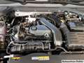 Volkswagen Golf VIII 1.5 TSI 85 kW 6-Gang Life / Pano LED Blau - thumbnail 19