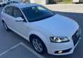 Audi A3 Audi A3 Sportback 8P, 1.6 TDI Weiß - thumbnail 45