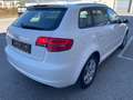 Audi A3 Audi A3 Sportback 8P, 1.6 TDI Weiß - thumbnail 35