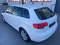Audi A3 Audi A3 Sportback 8P, 1.6 TDI Weiß - thumbnail 7