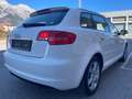 Audi A3 Audi A3 Sportback 8P, 1.6 TDI Weiß - thumbnail 36