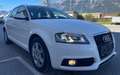 Audi A3 Audi A3 Sportback 8P, 1.6 TDI Weiß - thumbnail 46