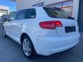 Audi A3 Audi A3 Sportback 8P, 1.6 TDI Weiß - thumbnail 6