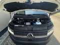 Volkswagen T6.1 Transporter LR LangerRadstand DSG,Standheizung,Flügeltür Weiß - thumbnail 17