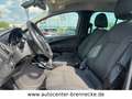 Ford B-Max B-MAX Titanium*8-fach bereift*PDC* Beige - thumbnail 14