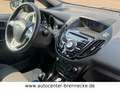 Ford B-Max B-MAX Titanium*8-fach bereift*PDC* Beige - thumbnail 12