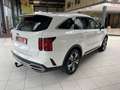Kia Sorento 2.2 CRDi AWD DCT8 Spirit+AHK+Navigation+ White - thumbnail 5